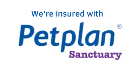 I'm insured with Petplan Insurance